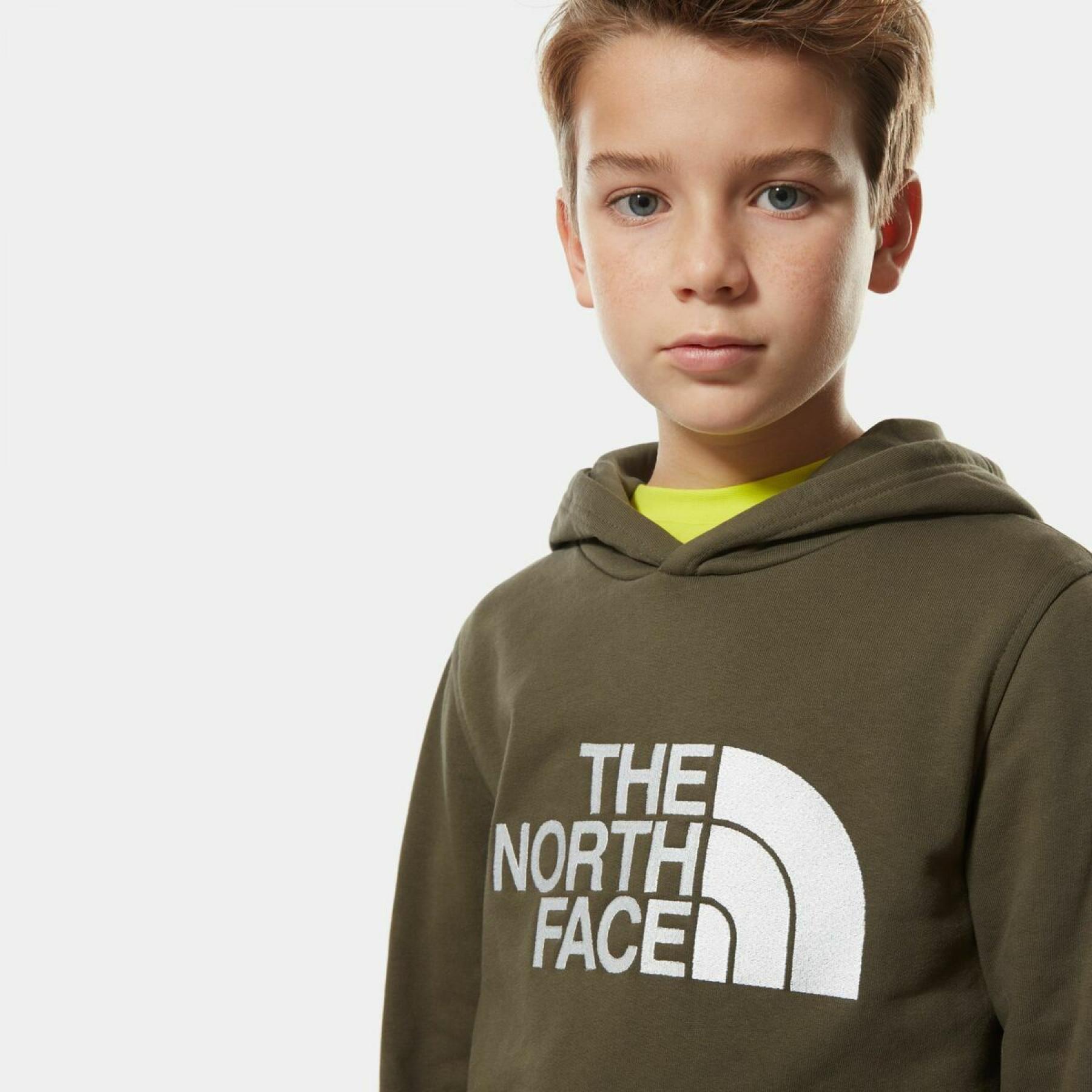 Sweatshirt à capuche enfant The North Face Drew Peak