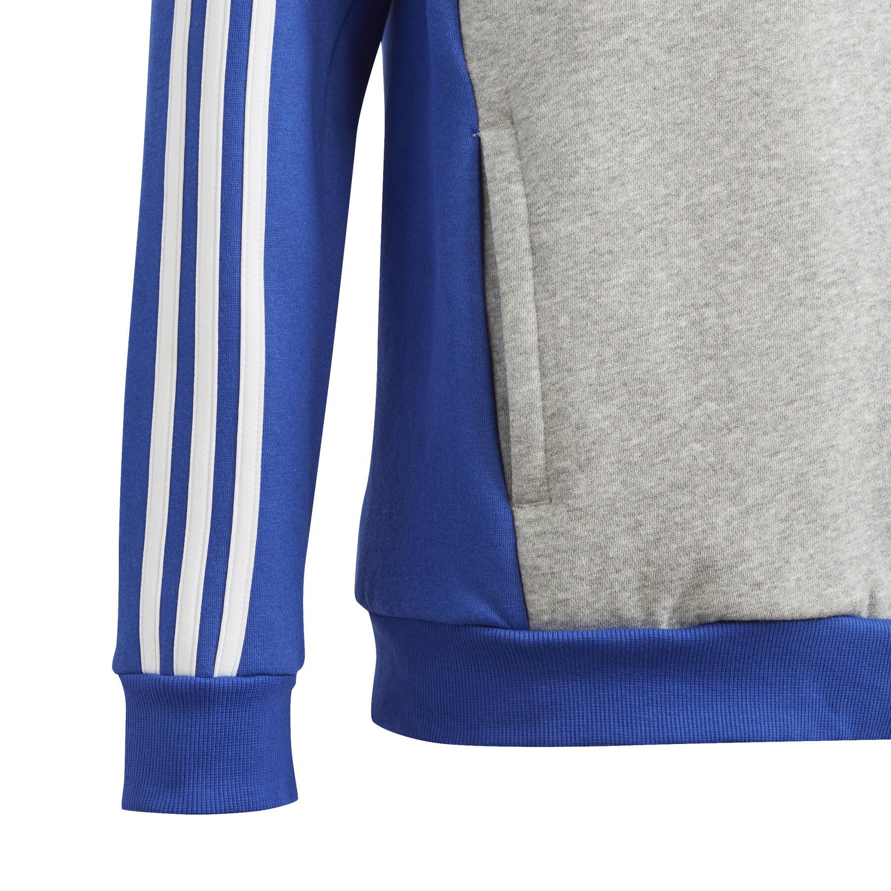 Sweatshirt à capuche enfant adidas Tiberio 3-Stripes Colorblock