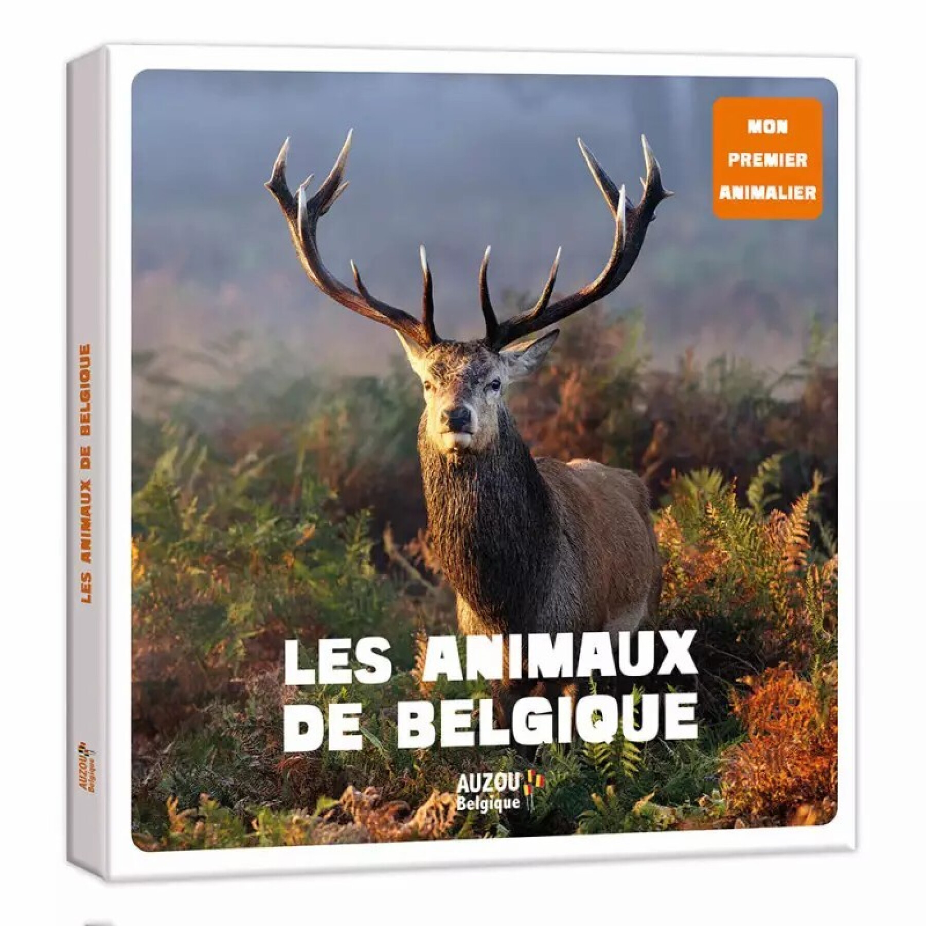 Livre Les Animaux De Belgique Auzou