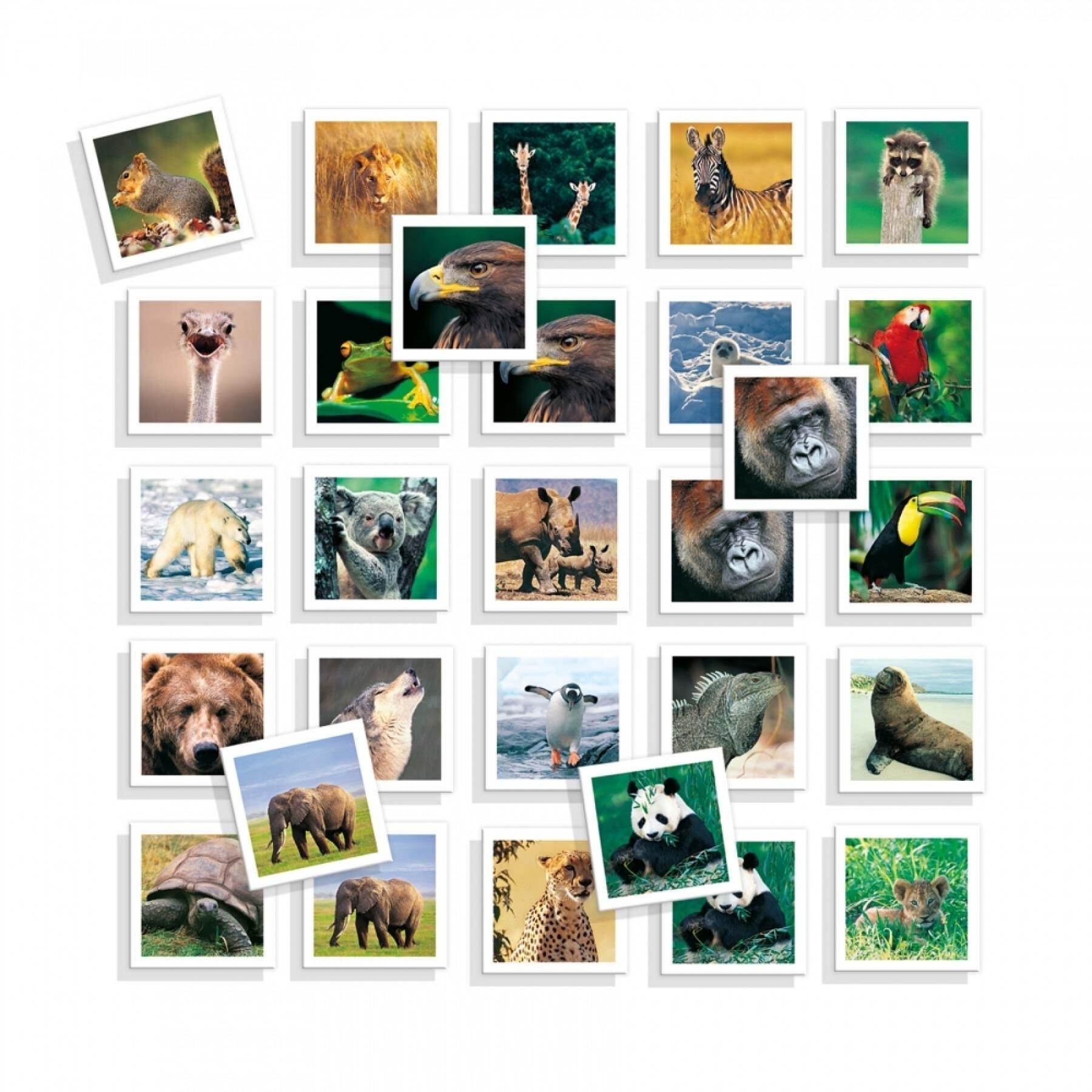 Jeux éducatifs mémory Photos d'animaux Diset