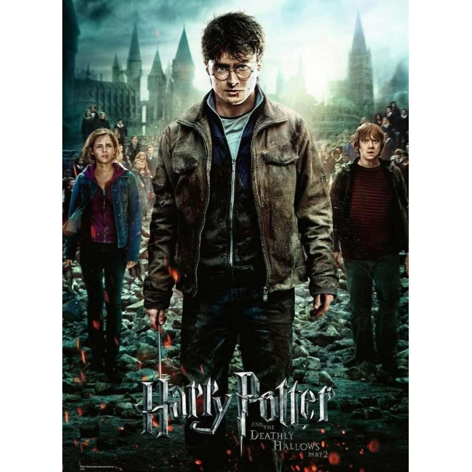 Puzzle de 300 pièces Harry Potter XXL