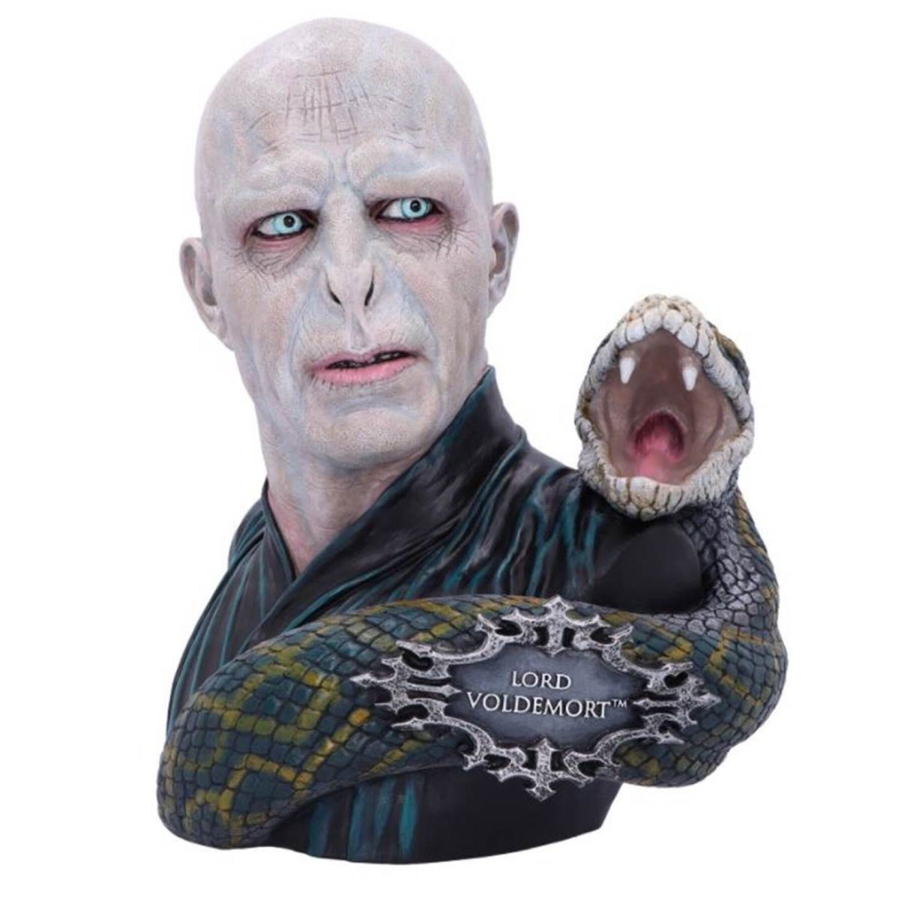 Figurine Voldemort Nemesis Now Harry Potter Collector 30 cm