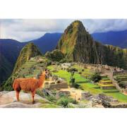 Puzzle de 1000 pièces Educa Machu Picchu