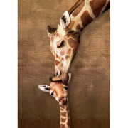 Puzzle de 500 piéces Girafes Eurographics