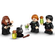L'erreur de la potion Polynectar Harry Potter Lego