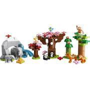 Animaux sauvages Lego Asie Duplo