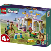 Jeux de construction le dressage équestre Lego Friends