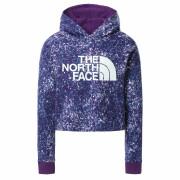 Sweatshirt fille The North Face Drew Peak Cropped P/o