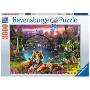 Puzzle 3000 pièces Tigres au lagon Ravensburger